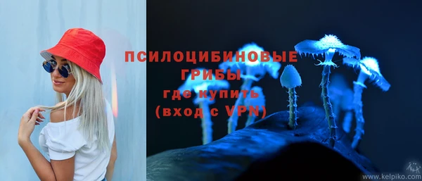 трава Балахна