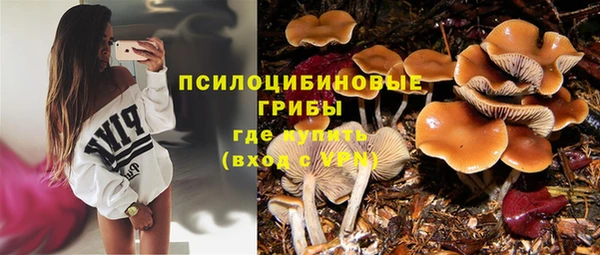 трава Балахна