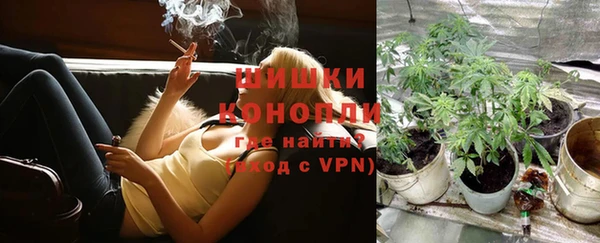 трава Балахна
