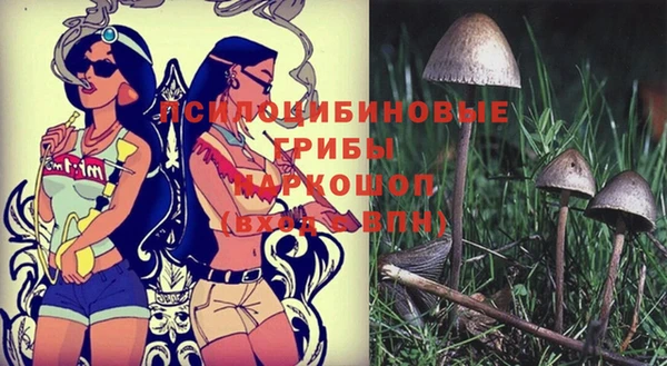 трава Балахна