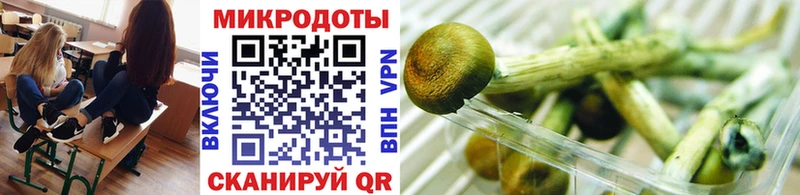 Галлюциногенные грибы MAGIC MUSHROOMS  блэк спрут tor  Борзя 